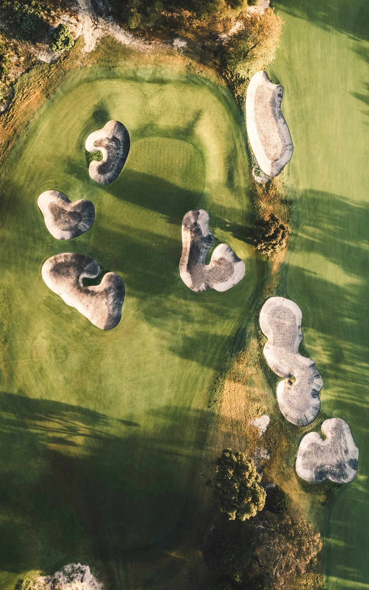 Golf course fairway on the Gold Coast, ideal for a social round of golf